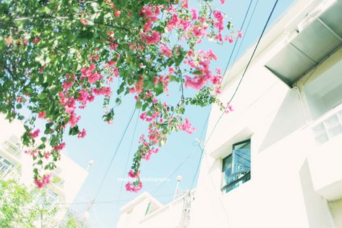 在时间中平静,在岁月里老去 (8)