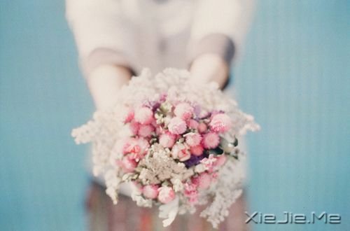 早安心语:没有伞的孩子必须努力奔跑 (10)