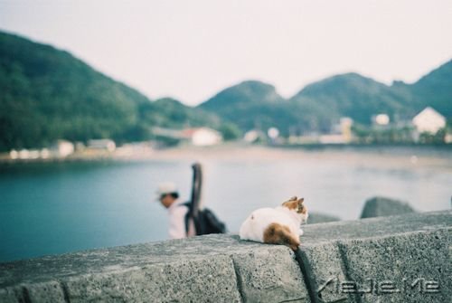 晚安心语:我们都老得太快,却明白得太迟 (7)