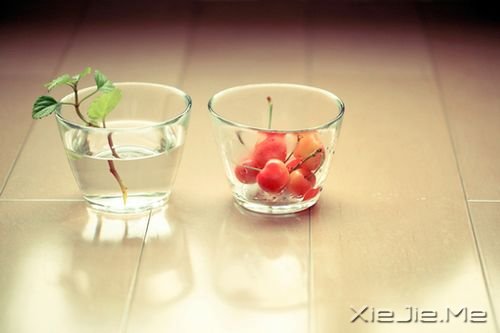 早安心语:生命太短,去爱那些对你好的人 (5)