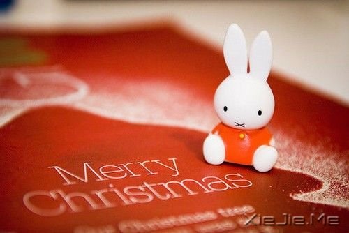 早安心语:当我对你越来越礼貌时,我们或许就越来越陌生了 (7)