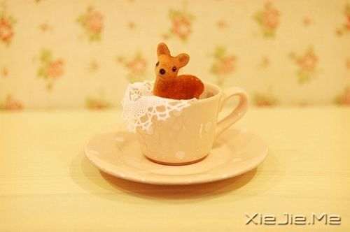 晚安心语:你来过一阵子,我却怀念了一辈子 (10)