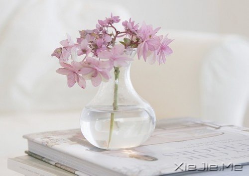 经典语录:与其埋怨世界,不如改变自己 (6)